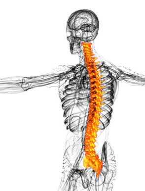 Che cos’è una lesione del midollo spinale