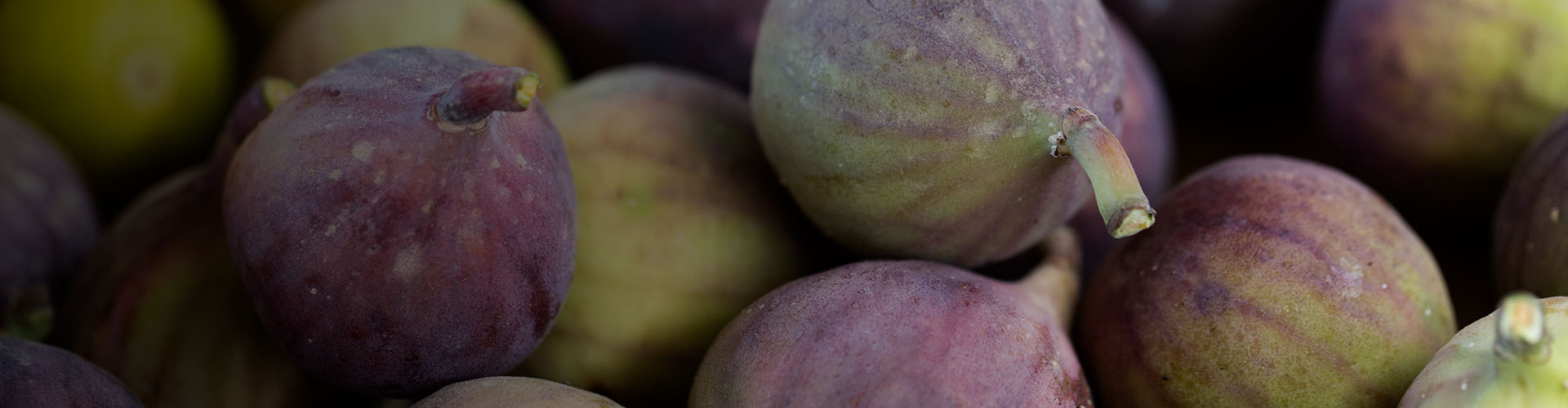 Ernährungsmythen im Zusammenhang mit einem Stoma