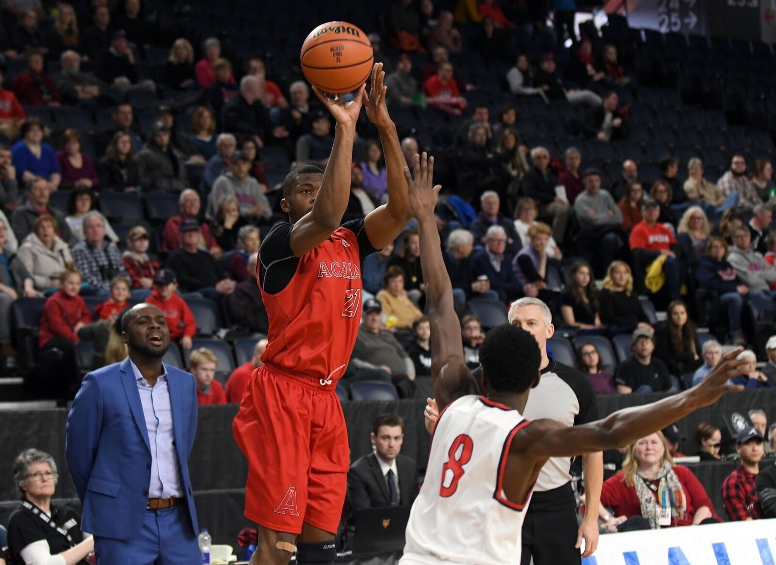 A basketball player in mid-air taking a shot during a game, wearing a red uniform with "Acadia" and the number "21" printed on it.
