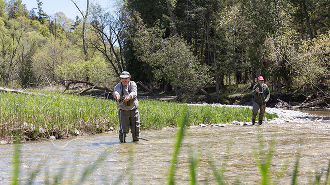  Bruce pêchant dans le ruisseau