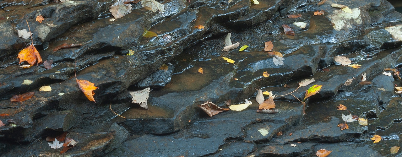 Naturbild med vatten och löv på stenar